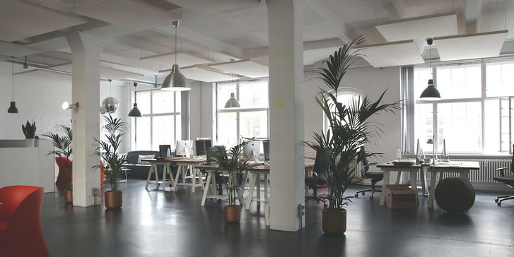 Clean and Declutter_3