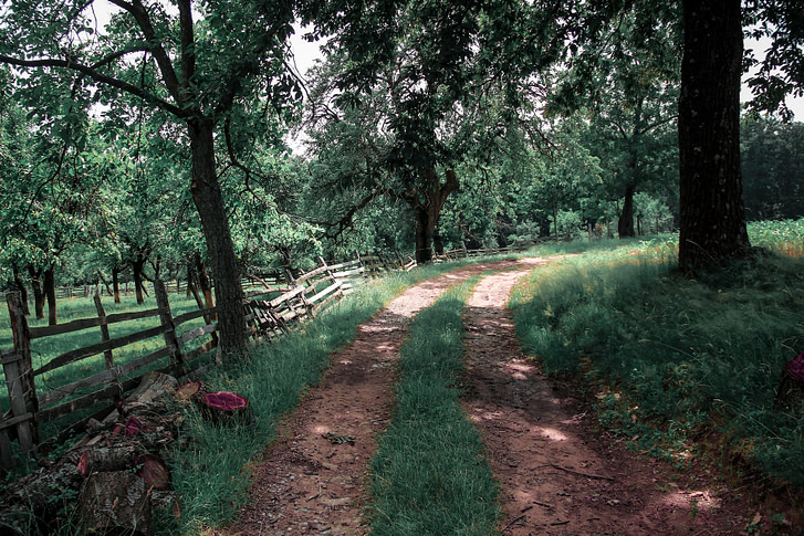 Peaceful Country Road