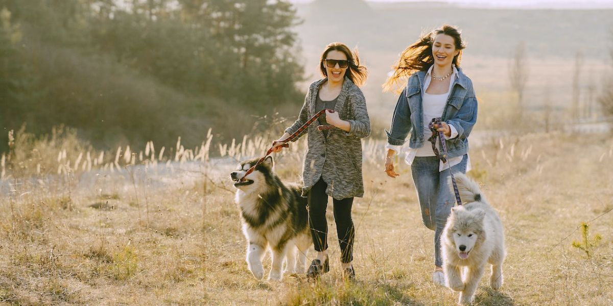 exercise_walking dogs